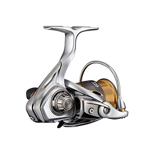 ダイワ(DAIWA) 21 フリームス FC LT2000S 2枚目