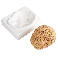 An Hour at Sunrise 1582355398 Book Cover