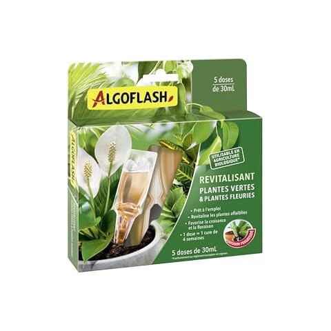 Algoflash Monodose Revitalisante Plantes Cover