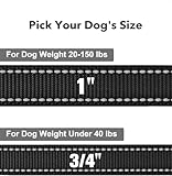 Taglory Hundeleine Mittelgroße Große Hunde Leicht | Doppelseitig Reflektierend | Gepolsterter Griff | Unterstützung 10 bis 75 kg | 1.8m x 2.5cm | Schwarz