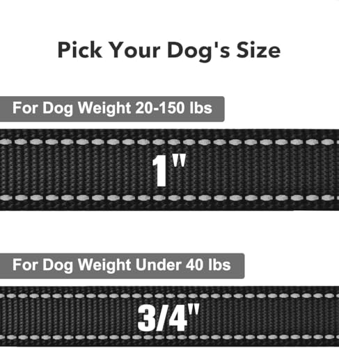 Taglory Hundeleine Mittelgroße Große Hunde Leicht | Doppelseitig Reflektierend | Gepolsterter Griff | Unterstützung 10 bis 75 kg | 1.8m x 2.5cm | Schwarz