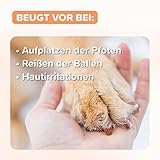 beaphar - Pfoten-Pflege Spray Für Hunde - Schützt Vor EIS, Schnee, Streusalz - Mit Propolis, Glycerin, Teebaumöl - Sanfte Und Geschmeidige Pfoten - Erhöht Die Widerstandsfähigkeit Der Pfoten - 150 ml
