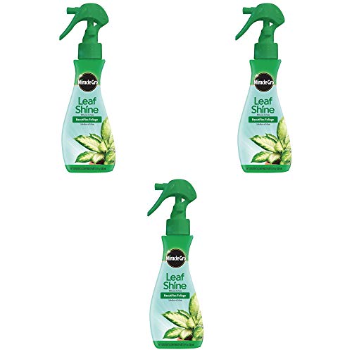 Miracle-Gro 100720 Leaf Shine (6 Pack), 8 oz Pack of 3