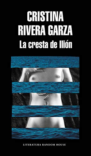 La cresta de Ilión (Spanish Edition)