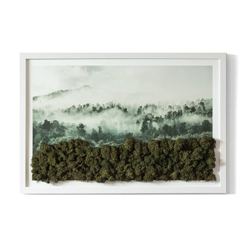 Forêt dans le brouillard Tulup 60x40 cm : image décorative sur MDF et cadre noir chic