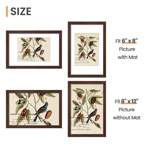 Image of upsimples 8x12 Picture Frame, Display Pictures 6x8 with Mat or 8 x 12 Without, Wall Hanging Photo Frames, Brown, 1 Pack