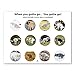 2020 Wall Calendar - Pooping Dogs 2020 Calendar with Thick Paper, Large 11