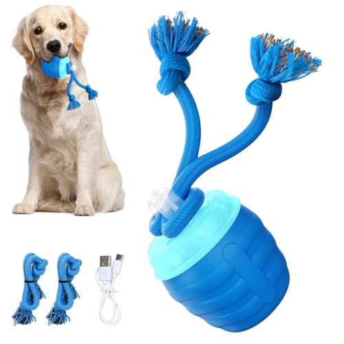 Gungtj L̂ - dLx |  Lbg {[ - ދh~Ɛ_Iĥ߁AƒArO[Axbh[AH㊈