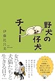 野犬の仔犬チトー