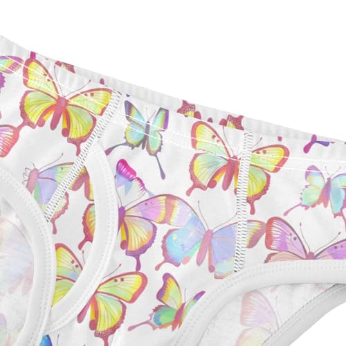 Color Butterfly Toddler Boy's Underwear 2T 202c15564