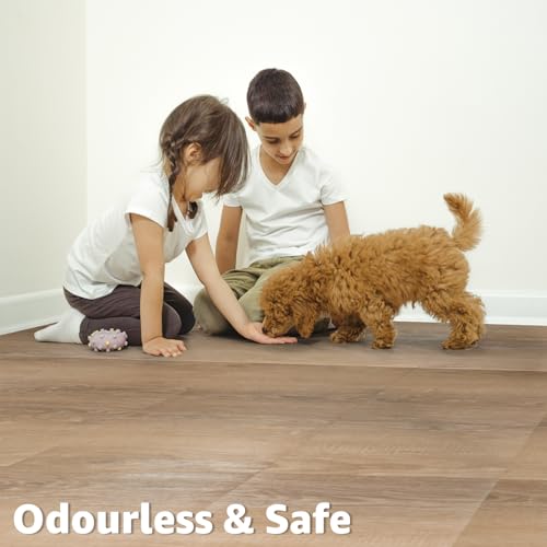 Image of Art3d 10-Pack Peel and Stick Vinyl Floor Tiles (10 Sq.Ft), Light Brown Ash