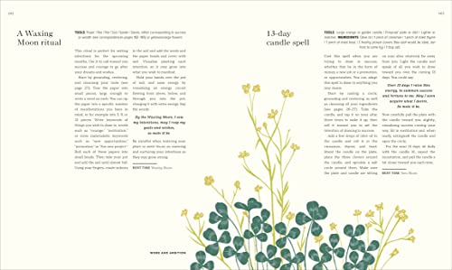 Dk 9780744058376 The Book Of Spells: 150 Magickal Ways To Achieve Your Heart'S Desire thumb #9