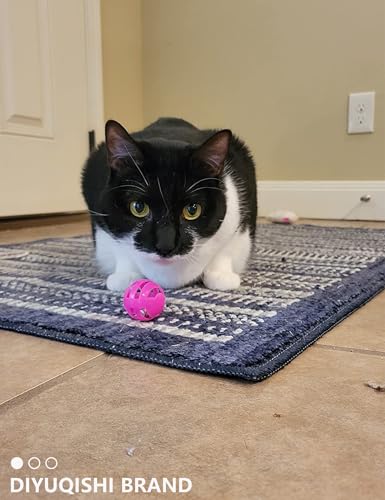 DIYUQISHI Pacote de 19 peças para gatos, 5 bolas de sino, 10 bolas de pelúcia e 4 molas para gatos e