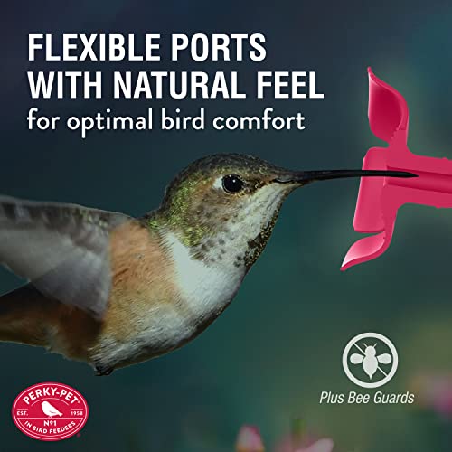 Perky-Pet 9202-2 Top-Fill Favored Pinch-Waist Glass Hummingbird Feeder – 20 oz, , Red
