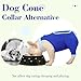 ROZKITCH Dog Surgery Leg Sleeve Rear Legs, Male Female Pet Prevent Licking Wound Elbow Knee Protector, Dog Recovery Suit Cone Collar Alternative Pants Shirt for Wound Heal Wrap Blue L