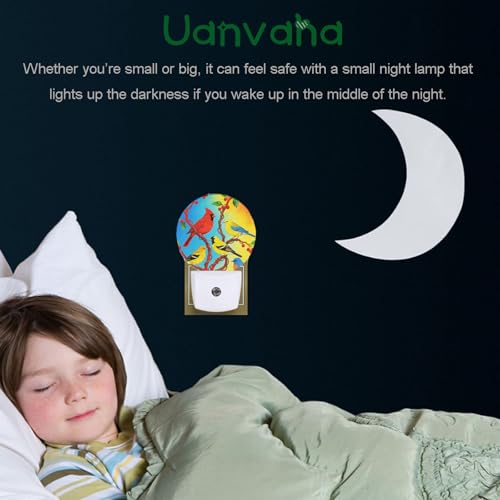 Image of Lovely Bird Lamp Parrot Night Light Parrot with Colourful Feather Night Lights Plug into Wall for Boys Girls, Plug-in Nightlight 0.5W LED Lighting for Stairway Hallway Bedroom