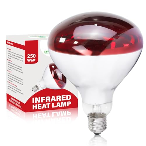 REPTI HOME 250W Infrared Heat Lamp for Chicken Red Heat Light Bulb R125 1 Pack Heat Lamp Bulb for Chick Croop Reptiles Pets Food