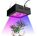 Produktbild JXJ 80 watt LED wachsen licht-volles spektrum topfpflanze wachstum Lampe Gartenarbeit hydroponic füllen licht