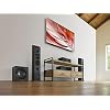 Sony SACS9 10-Inch Active Subwoofer,Black