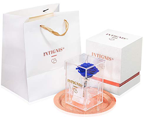 INTIGNIS Única e Inusual Rosa eterna Azul Real Flor Eterna | Regalo Ideal para Ella | Caja Transparente | Luces LED | Placa de Oro Rosa Decorada | Caja de Regalo y Bolsa de Transporte (Royal Blue)