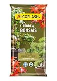 Algoflash