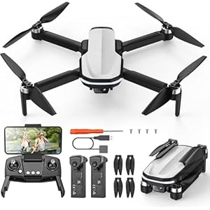 Holy Stone FPV Drone with 1080P HD Camera for Kids and Adults, HS280D Foldable RC Quadcopter with Brushless Motor, Optical Flow, Tap Fly, Voice Control, Gesture Selfie, 2 Modular Batteries