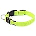 BSeen LED Dog Collar, USB Rechargeable Light Up Safety Pet Collar with 3 Glowing Modes & 3 Reflective Strings, Adjustable Soft Nylon Webbing, Great for Small Medium Large Dogs (Medium, Neon Green)