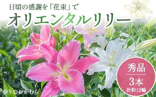 日頃の感謝を「花束」で、オリエンタルリリー[秀品3本 誕生日 植物 フラワー ギフト プレゼント