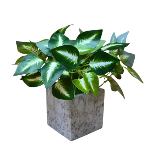 Image of fancymart Artificial Plant with Real-Touch Leaves in Pot, 25 cm, Indoor Tabletop Item for Home Decor, Office, Living Room