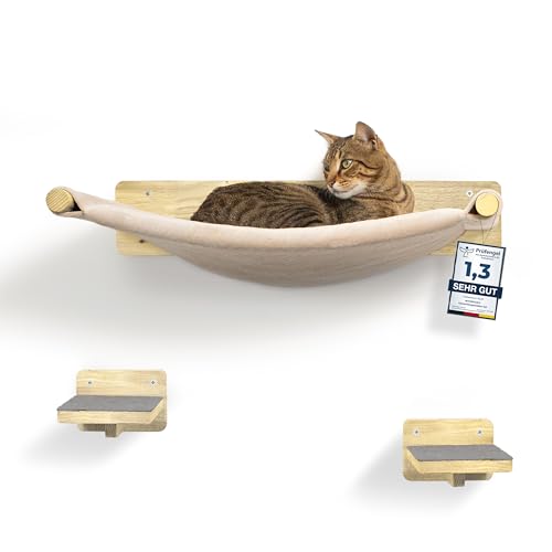 WOOWOOD Arbre à Chat Mural avec hamac, 2 escaliers muraux, Parcours Mural pour Chat intérieur, Bois, Naturel foncé
