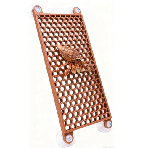 Bolagar Hermit Crab Climbing Toy Reptile Habitat Decor Exercise Playground Hermit Crab Accessories for Tank and Aquarium Decoration (Brown)