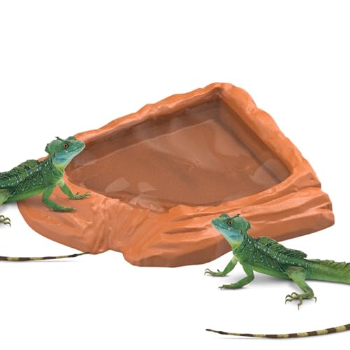 Genérico Wasserschale für Schildkröten, Schwimmbecken, Drache, Barbudo- Wasser- und Futterschale für Schildkröten im Terrarium für Gecko, Schlange und bärtiger Drache