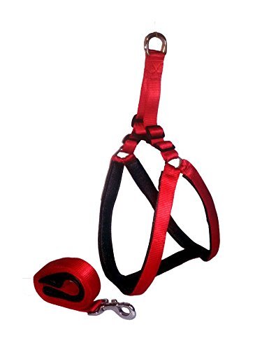 Skora Soft Padded Body Set-Leash & Harness Large Size(Red Black) (B075MFB31Z) Amazon Price History, Amazon Price Tracker