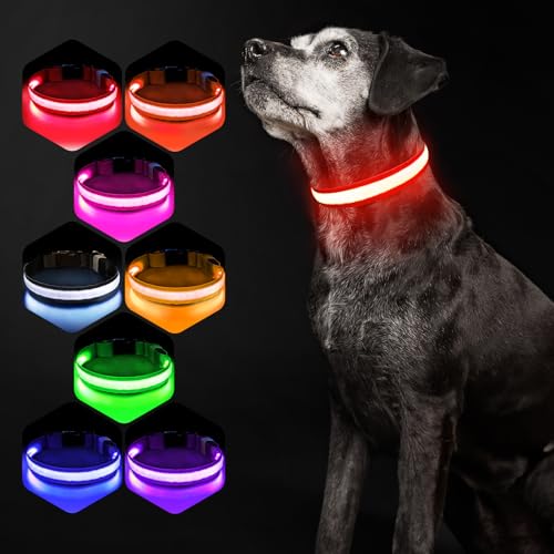 Pceotllar Collar Led para Perro, Recargable. 7 Colores RGB, 8 Modos De Luz. Resistente, Ajustable E Impermeable. para Perros Grandes, Medianos Y PequeñOs. MáXima Seguridad Nocturna