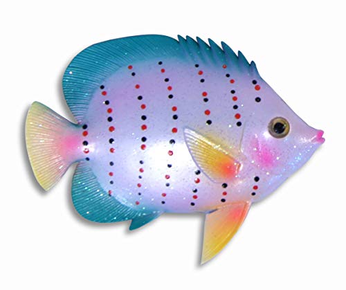 cb tropical fish