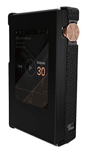 Pioneer Protective Case For Xdp 30r Digital Audio Player Brown Xdp Apu30 T Buy Online In Grenada At Grenada Desertcart Com Productid