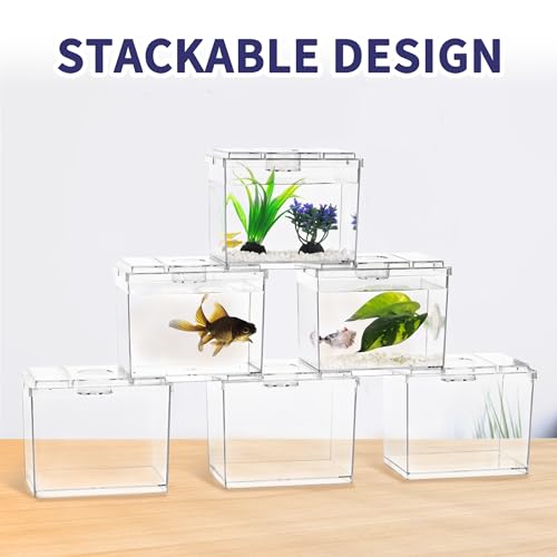 Image of MoonOrange Mini Betta Fish Tank, Small Fish Bowl for Temporary Space, 0.2 Gallon Stackable Cube Tank with Betta Leaf and Gravels for Small Fish, Insect, Shrimp, Crab, Spider.(Pack-2)