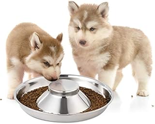 Yangbaga Puppy weaning Bowl, Stainless Steel Metal Dog BowlsCan be Used for Multiple Puppies to Eat Water Bowl and Dog Food Bowl at The Same Time (30cm/11.8in)