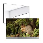 Soulaca 22 inch Smart LED Mirror TV for Bathroom, webOS 1080P Waterpoof with Wi-Fi and Bluetooth,Built-in Alexa,Integrated with Speaker, 2026 Model