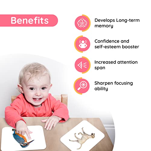 Transport hungry brain Flash Cards for Babies and Infants for Early Learning & Stimulation Card l Age 3 Months to 3 Years Babies l Christmas & New Year Gift for Toddler Kids | Real Images Flash Cards