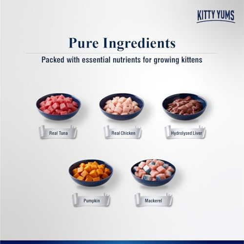 Image of Kitty Yums Kitten Wet Mousse 80g(4+1) Pack of 5, 400g | Ocean Fish | Rich in Protein | Promotes Hydration & Easy to Digest | No Artificial Flavours | Packed with Essential Vitamins & Antioxidants