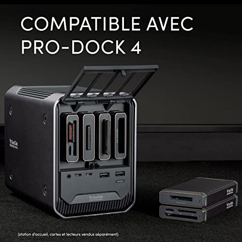 SanDisk Professional Pro-Reader Multi-Card Lecteur pour des Transferts Multimédias Ultra-Rapides Noir