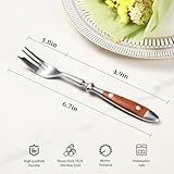 Image-HasTech