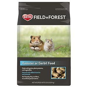 Kaytee Field+Forest Hamster or Gerbil Food 2 Pounds