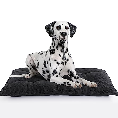 10 Unbreakable Dog Crate Pads for the Most Active Pups TearResistant