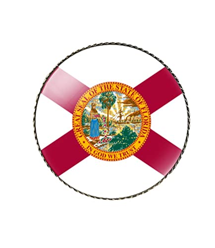Image of vmcoatdu Round 1 Inch South Carolina Flag Pin Brooch Metal and Inlay Glass Revivalism Style Souvenir Badge Brooch for Hat Clothes Backpack