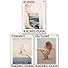 Rachel Cusk 3 Books Collection Set ( Outline, Transit & Kudos )