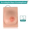 Lactation Breast Model for Breastfeeding Massage Education, Artificial Breastfeeding Educational Tool for Lactation Consultant, Left