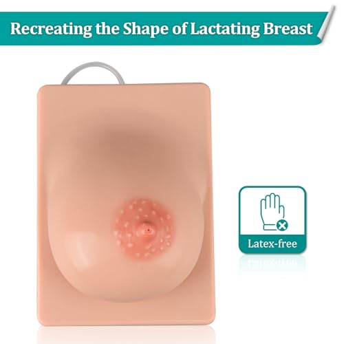 Image of Lactation Breast Model for Breastfeeding Massage Education, Artificial Breastfeeding Educational Tool for Lactation Consultant, Left