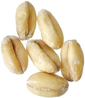 Malt - Briess - Red Wheat (50 lb Sack)